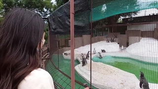 一级a一级a爰片免费免免看着肥胖单男3p射老婆