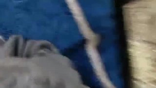 抢先看电影"不行！我不能拍的！"爆乳大奶女友被疯狂输出【完整版36分钟已传简阶