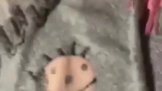 萨拉 ·杰在拳击台上做爱