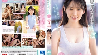 Al—刘亦菲黑丝制服