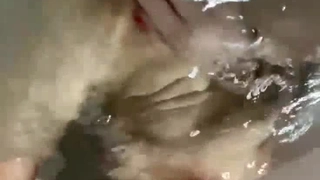 偷情，小骚货老公一出差就叫我过来